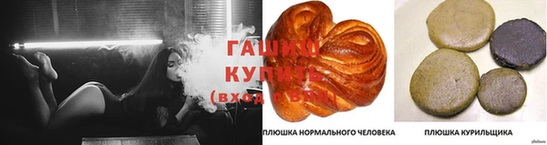 дмт Киреевск
