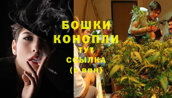 мяу мяу мука Киренск