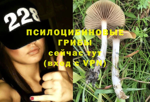 мяу мяу мука Киренск