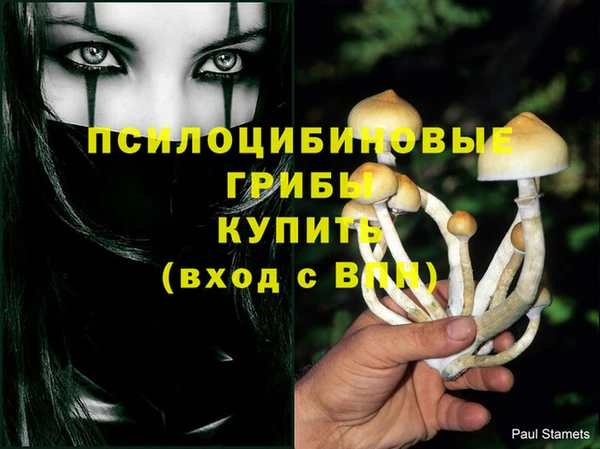 мяу мяу мука Киренск